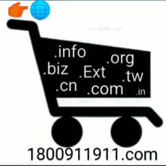 Domain Names Search & TurnKey Website